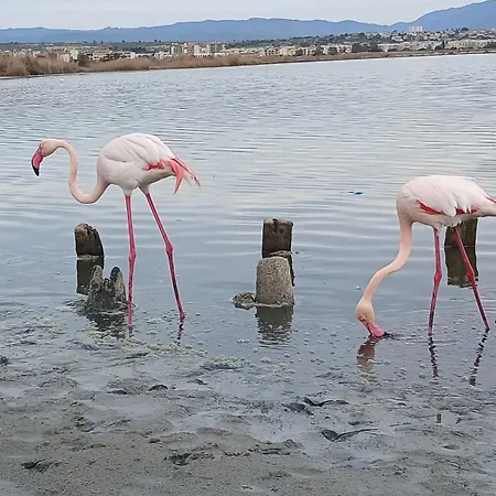 Appartement Pindemonte 52 Appartament *